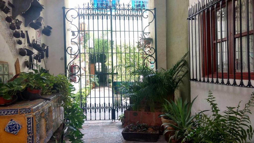 Meson Sacristia De La Soledad